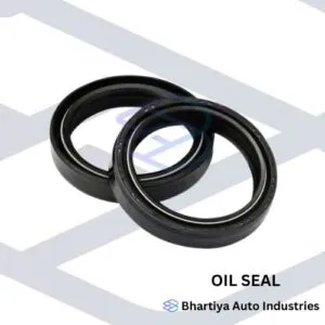 Tvs King Oil Seal