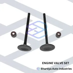 Tvs King Engine Valve Set